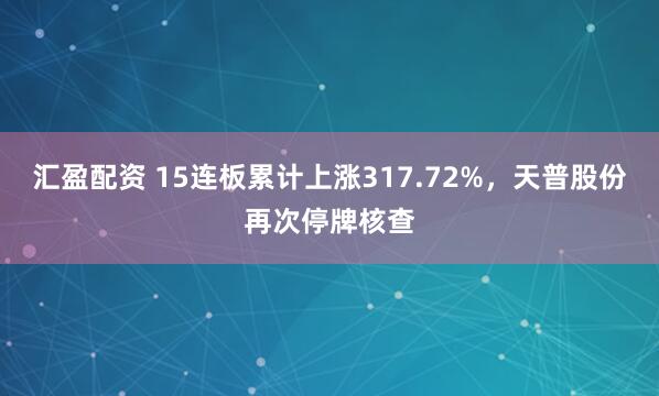 汇盈配资 15连板累计上涨317.72%，天普股份再次停牌核查