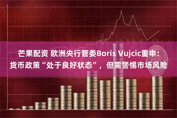 芒果配资 欧洲央行管委Boris Vujcic重申：货币政策“处于良好状态”，但需警惕市场风险