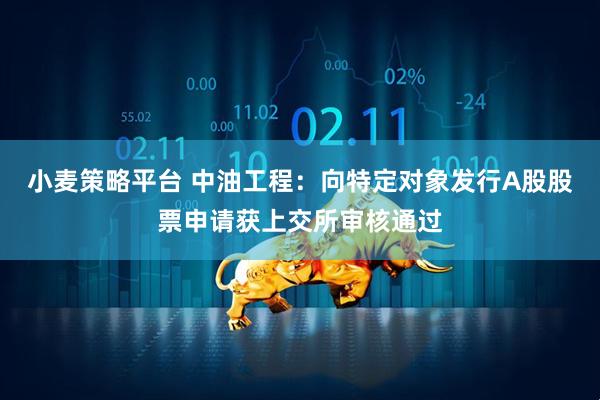 小麦策略平台 中油工程：向特定对象发行A股股票申请获上交所审核通过